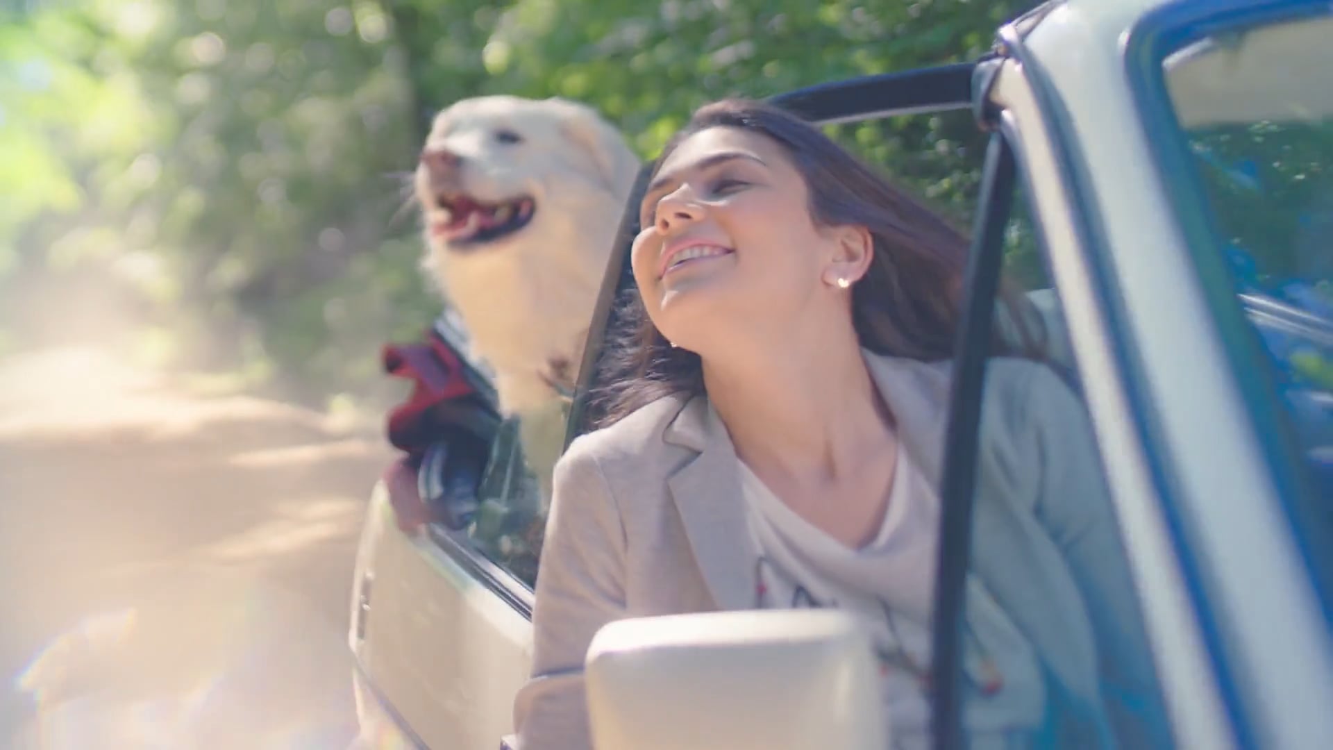 Devrin Usta-ZEN "Bil Bakalım"