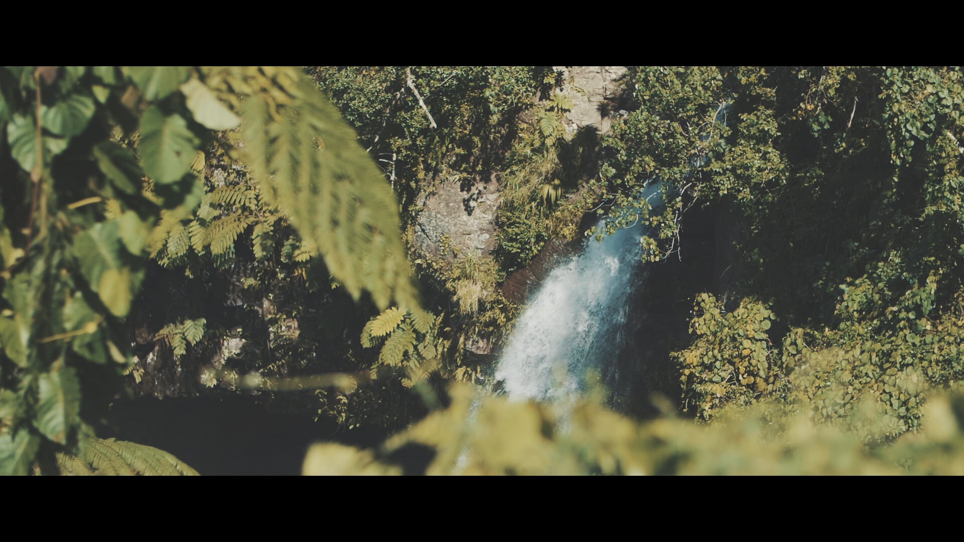 Xavier Rudd 'Honeymoon Bay' (Official Music Video) on Vimeo