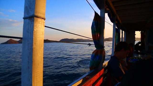 Related Embedded Video Item Thumbnail