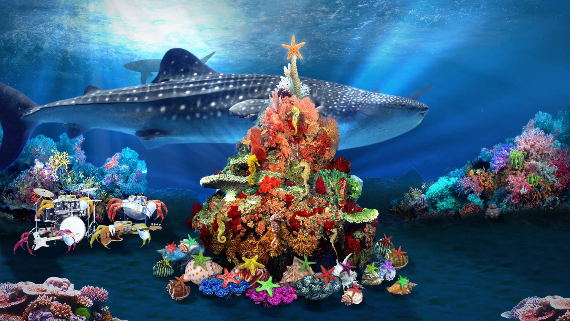 Undersea Holiday Jam from Your Friends at Continental Shelf Associates