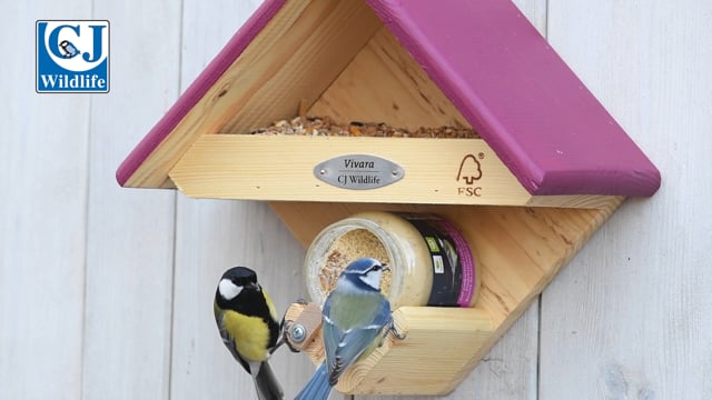 Cumberland Bird Feeder