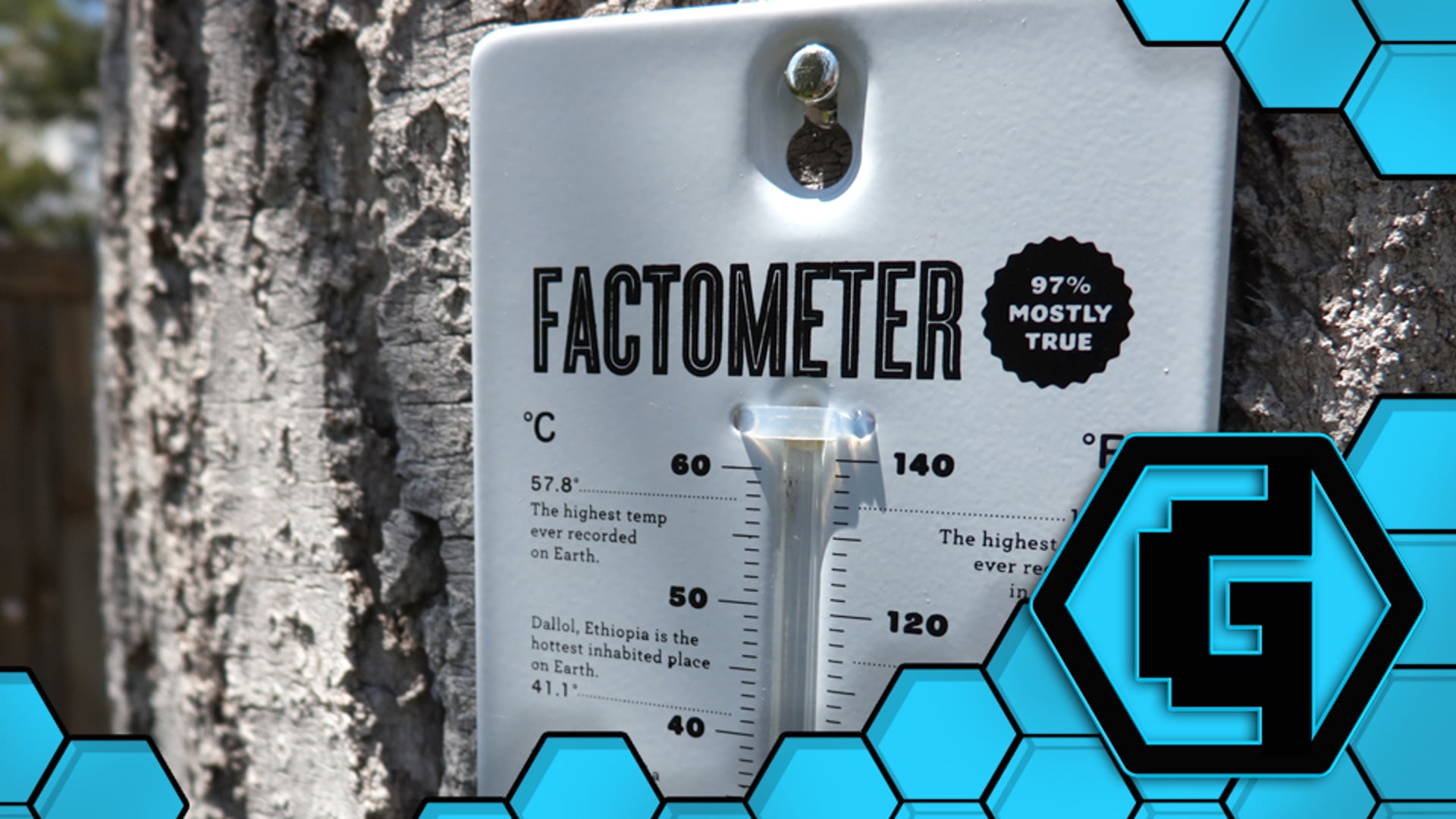 The Geekery View - Factometer