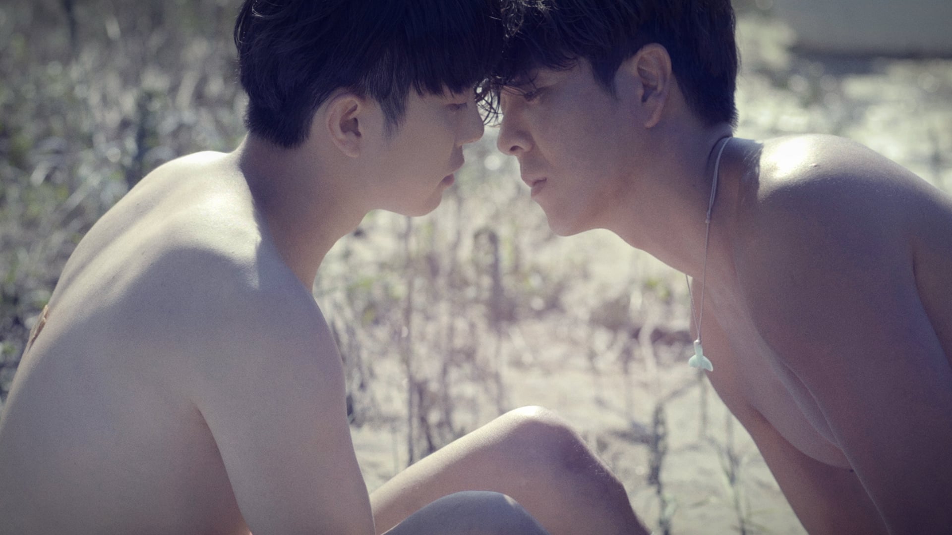 фильмы геев корейские фото 23