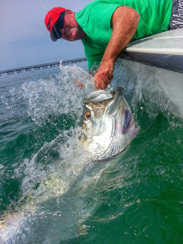 Saltwater, Bass and Tarpon Spinning Rods