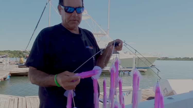 Broome Sailfish Basics Using Easy Tease Teasers #sailfish 