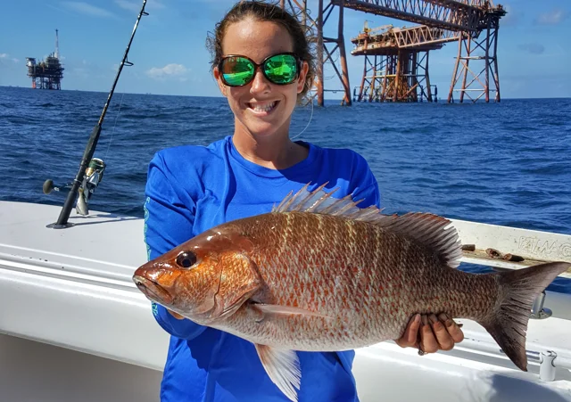 Mangrove Snapper - Chumming