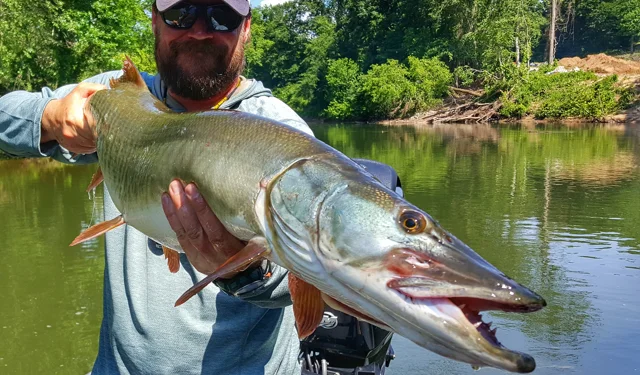 Small Creek Kayak Fishing! ( Tennessee Musky Fishing ) — Tactical