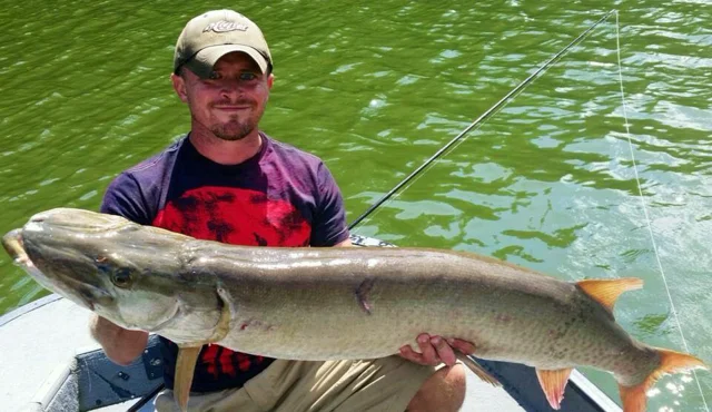 Largemouth Bass - Flipping and Punching Florida