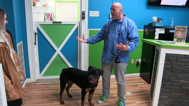 Hounds Town USA Franchise Overview