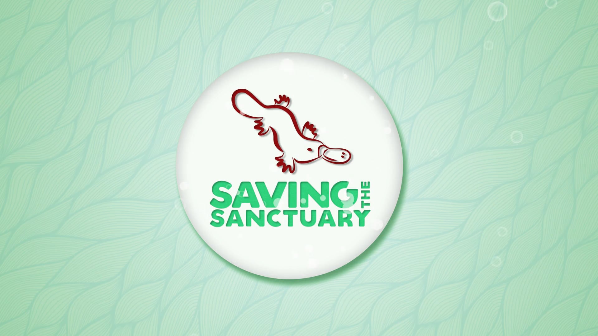 Saving the Sanctuary preview