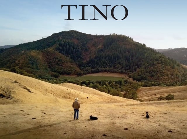 Tino Trailer