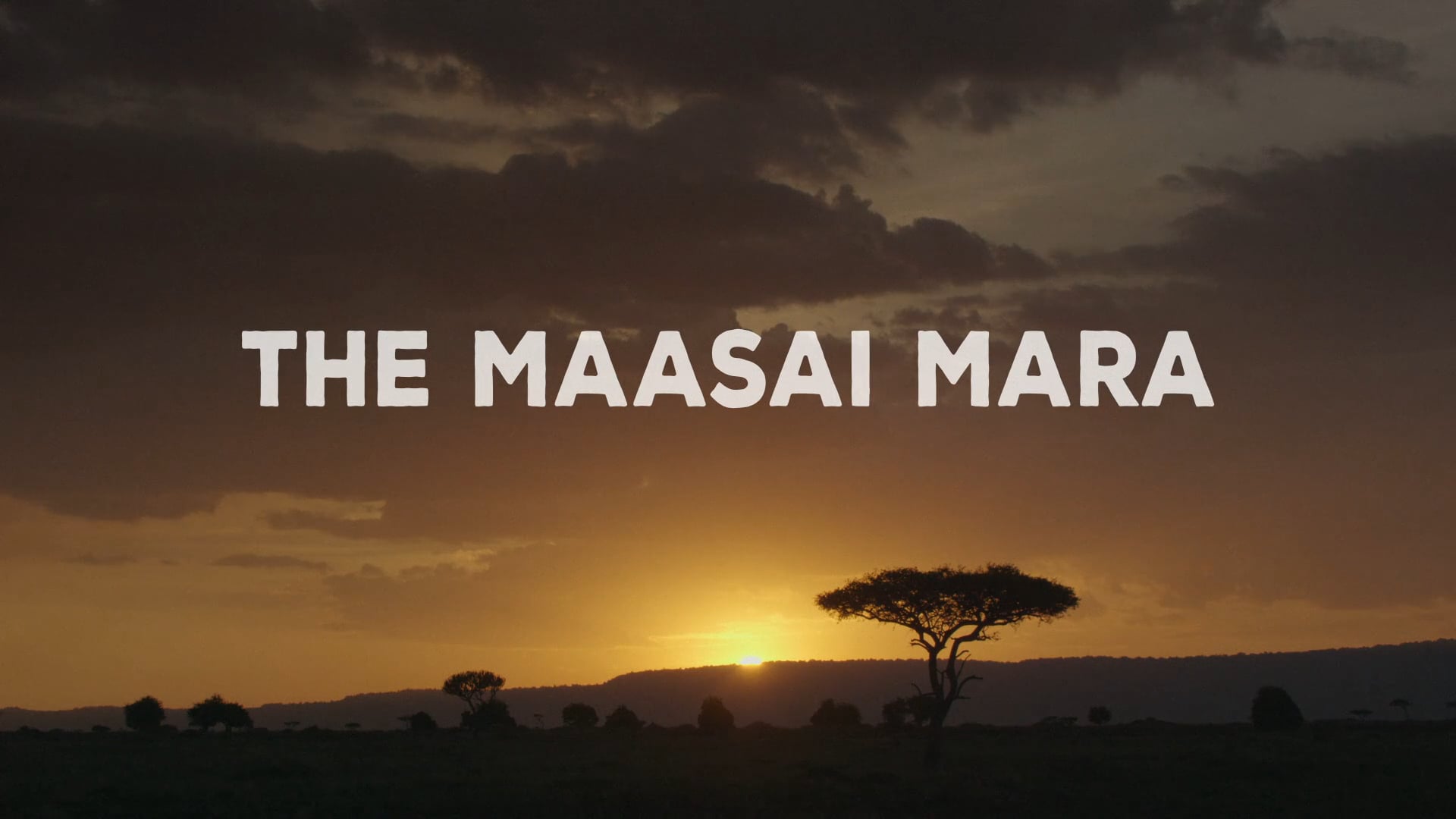 The Maasai Mara | Reuters
