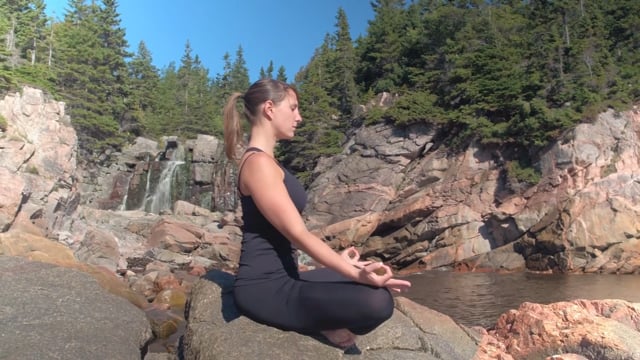 Module 04: Visualisation Meditation - Video Thumbnail