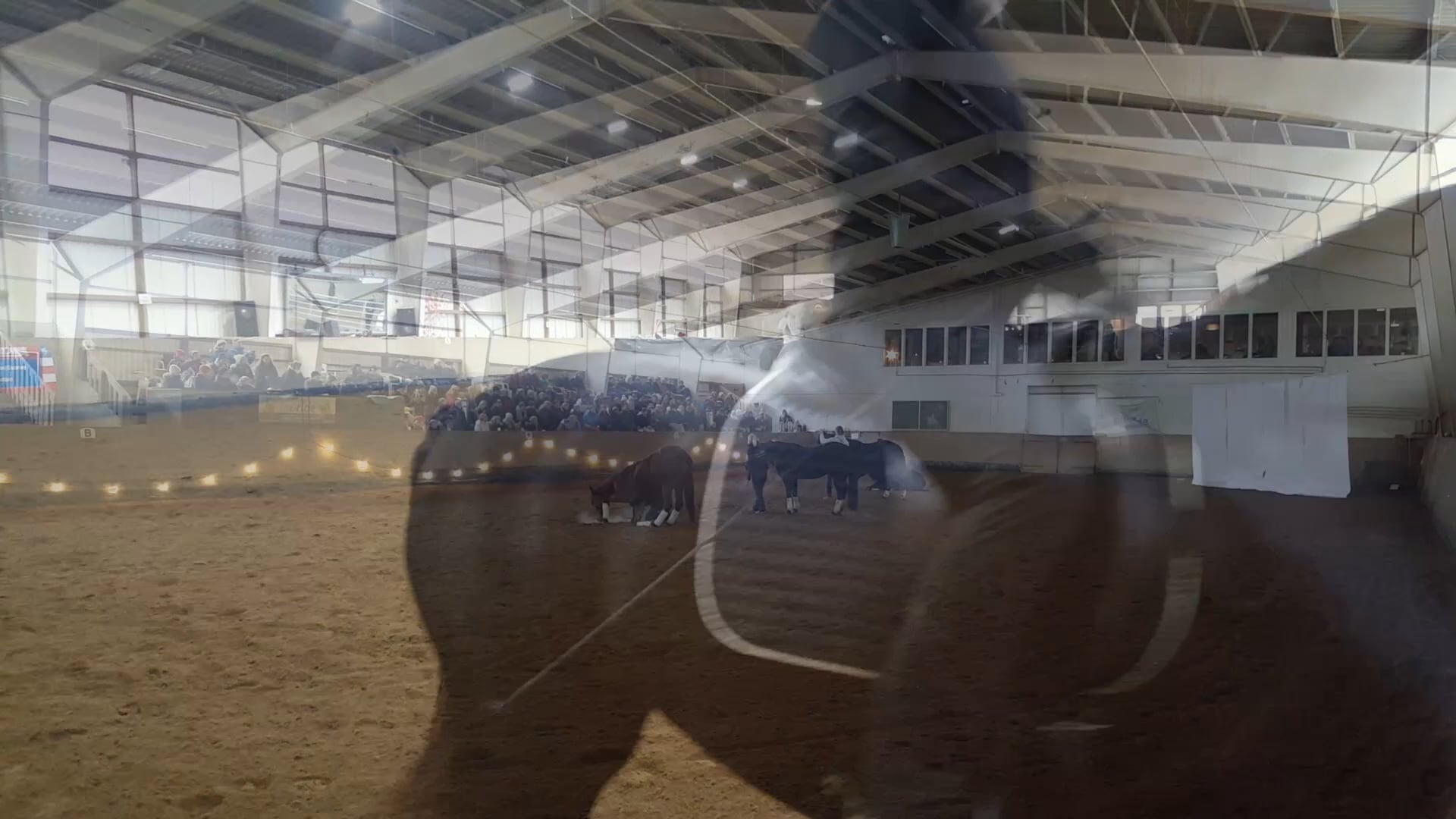Horsemanship Seminar LET YOUR BODY TALK