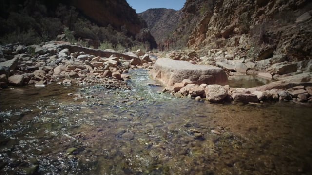 Believers being baptised in Jordan