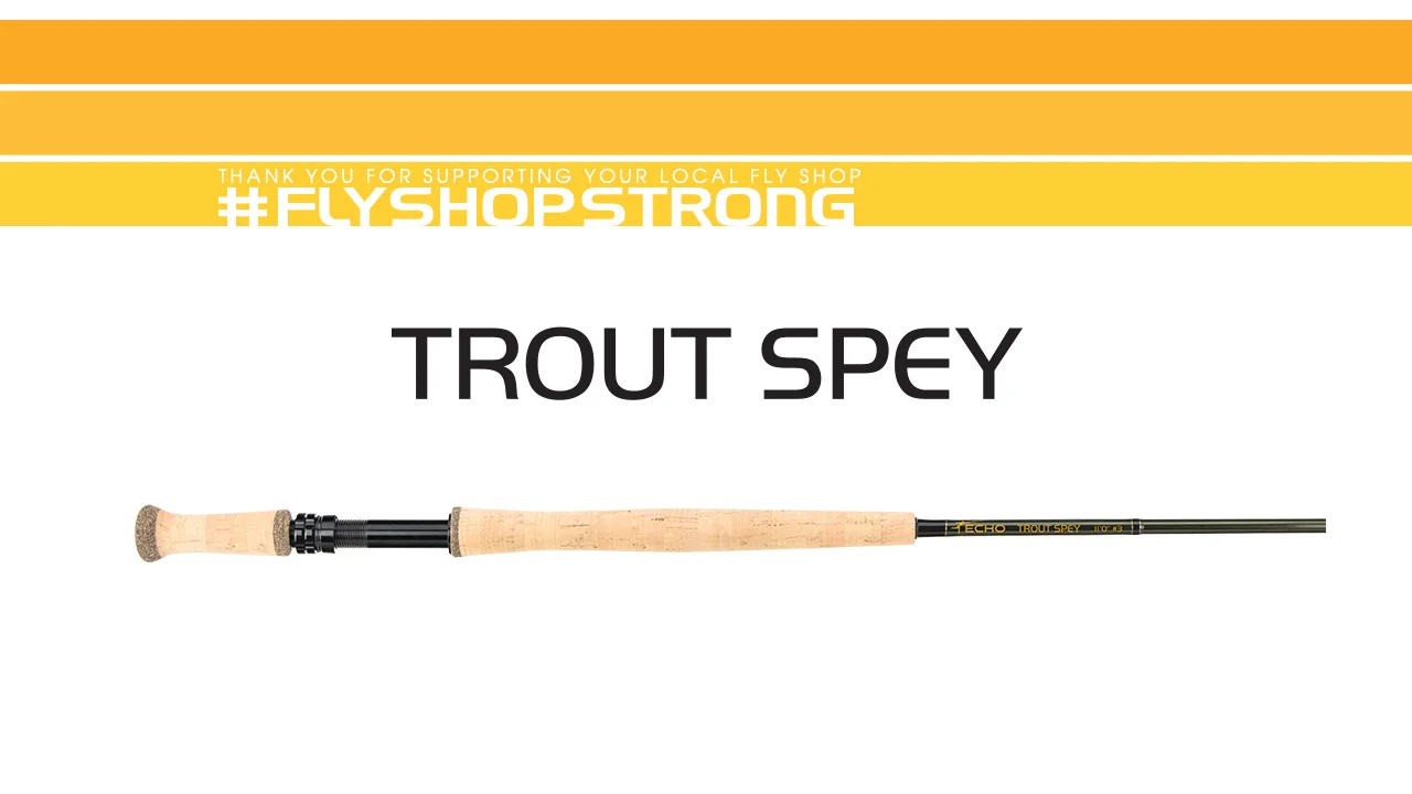 ウエダ SP Super Trout SPCー602W