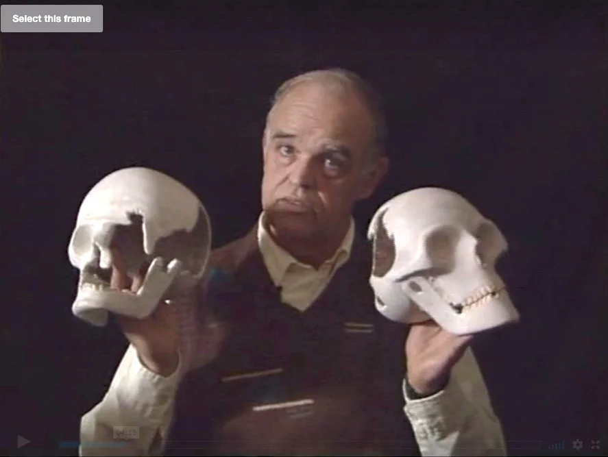 Watch Lizzie Borden Hash & Rehash Online |   On Demand  
