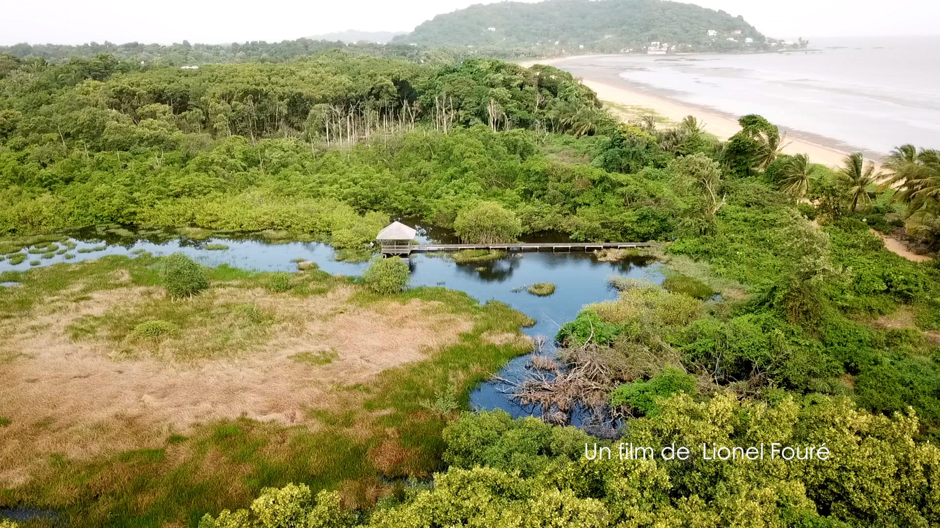 Le sentier des Salines à Rémire Montjoly un film au drone de Lionel Fouré.