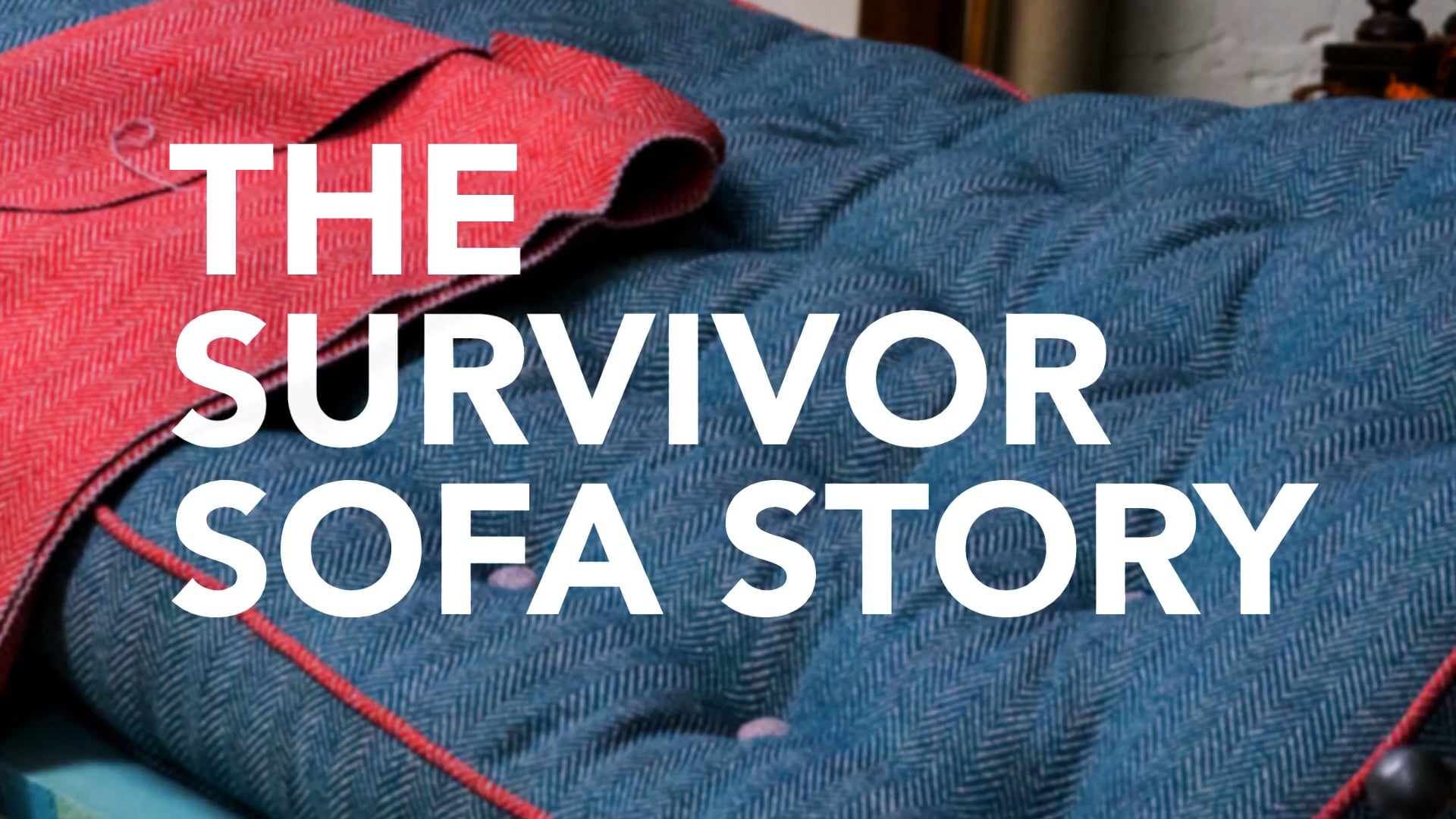 The Survivor Sofa Story