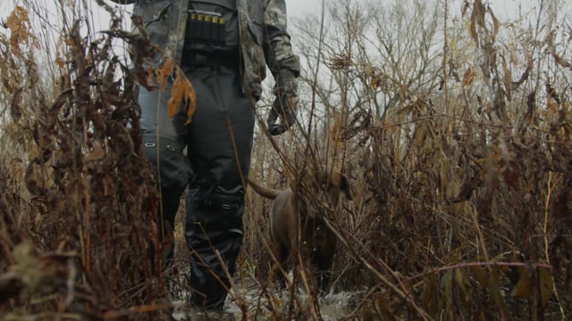 Gator Waders - Customer Success Story