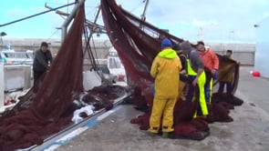 Per quart Nadal consecutiu la Trini torna al port de l'Escala