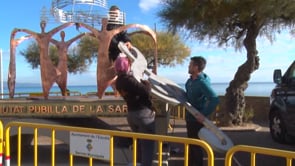 Es restaura el monument de la  Ciutat Pubilla de la Sardana