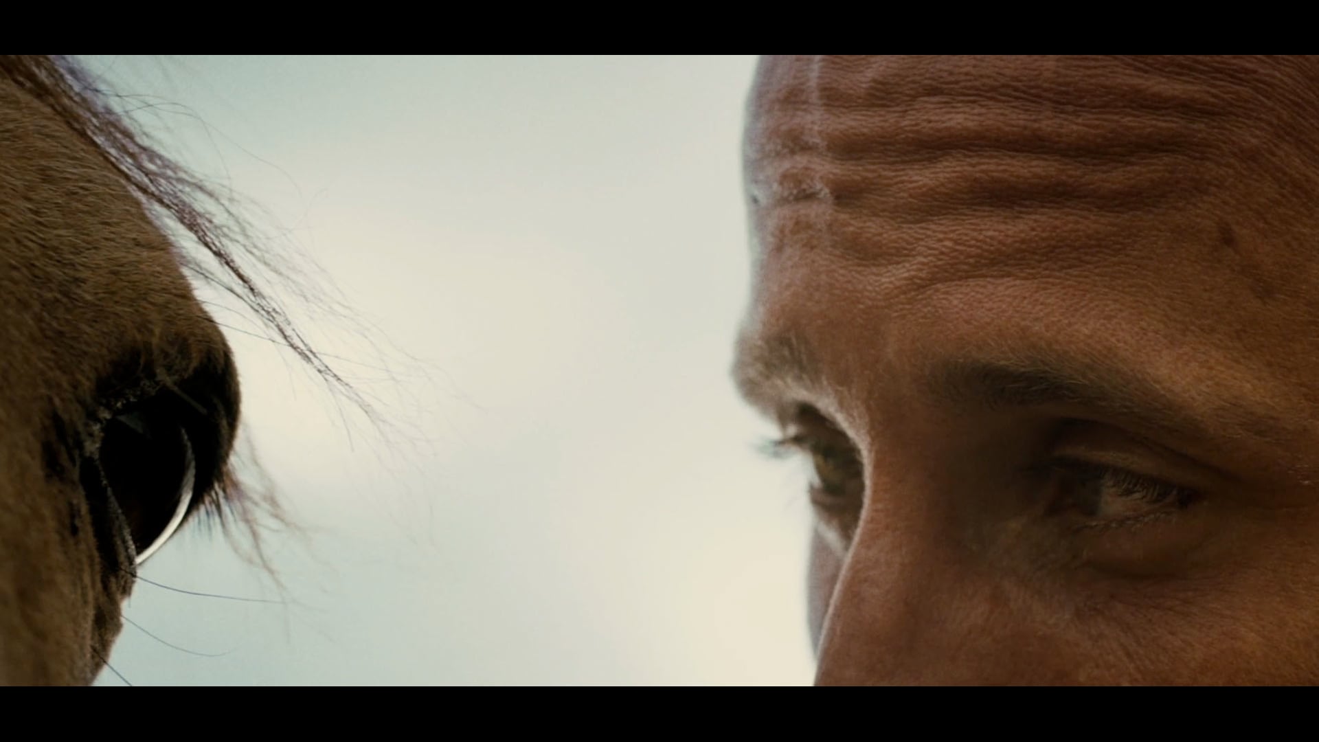 The Mustang - "Free" Trailer