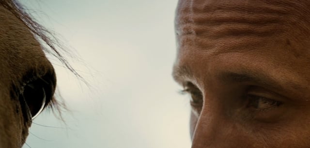 Focus Features - Customer Success Story