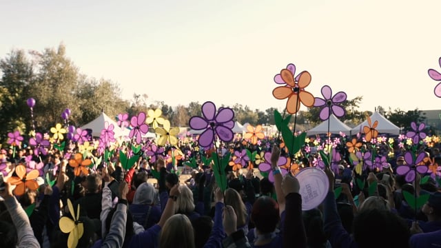 Walk to End Alzheimer's // Alzheimer's Association