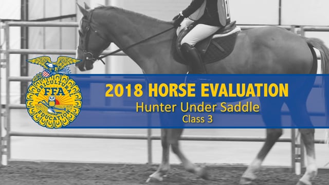 2018 Horse – Class 3 Hunter Under Saddle