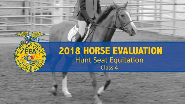 2018 Horse – Class 4 Hunt Seat Equitation