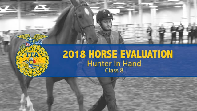 2018 Horse – Class 8 Hunter In Hand