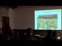 Resultados de los campos de demostración en A Pobra do Brollón: Mezclas de tréboles anuales como forrajes de invierno y riega de cultivos de verano
