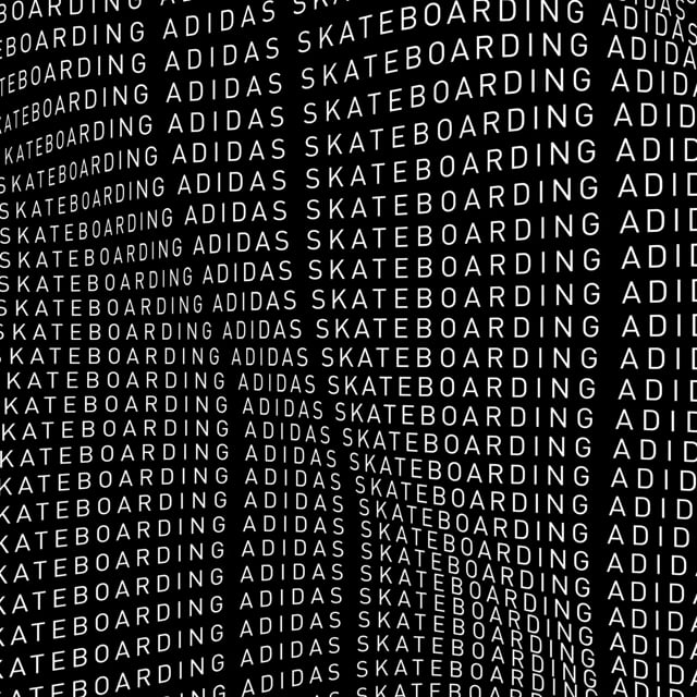 snijder Nationaal volkslied tweeling Adidas Skateboarding — DIA