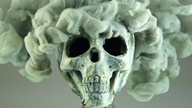90+ Free Skeleton & Skull Videos, HD & 4K Clips - Pixabay