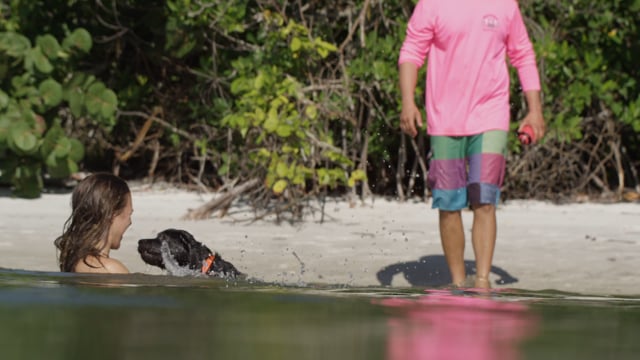 280 CC Adventure from Tidewater Boats