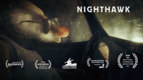 Thumbnail for Špela Čadež — Nighthawk