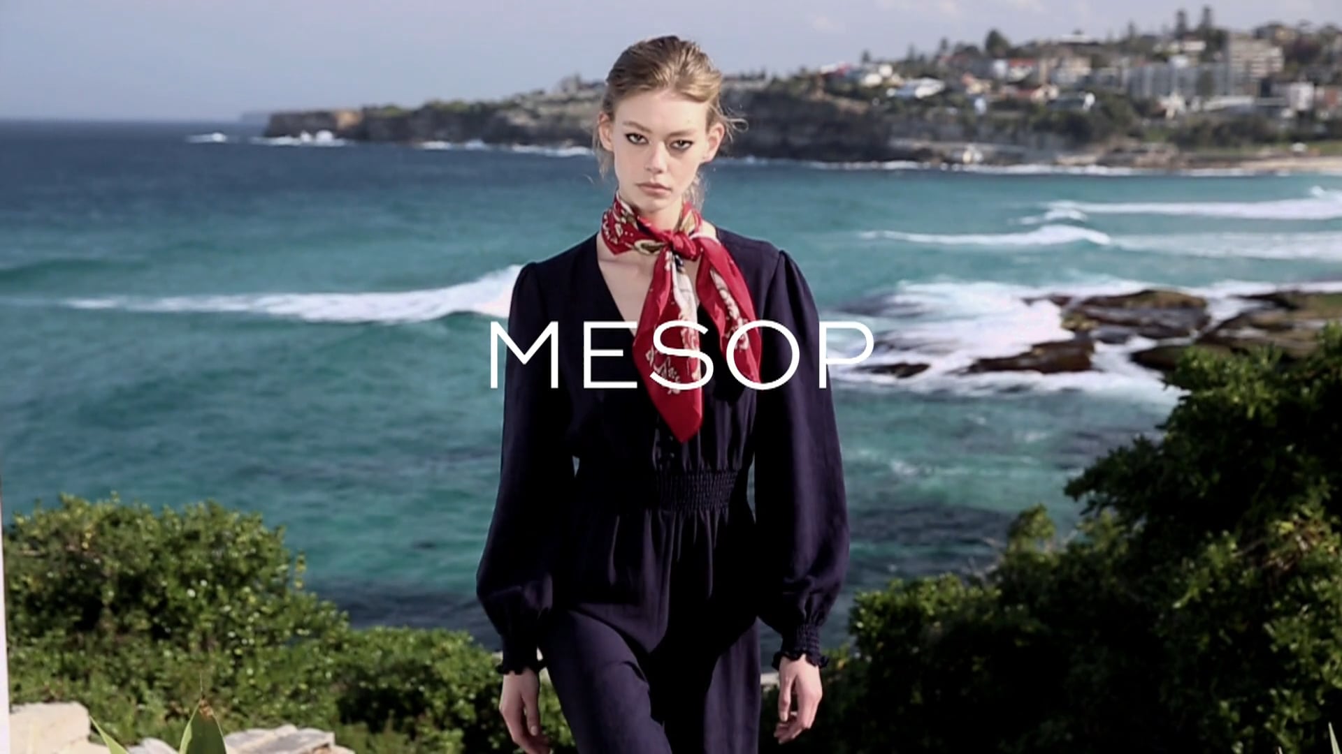 MESOP Promo Video 2