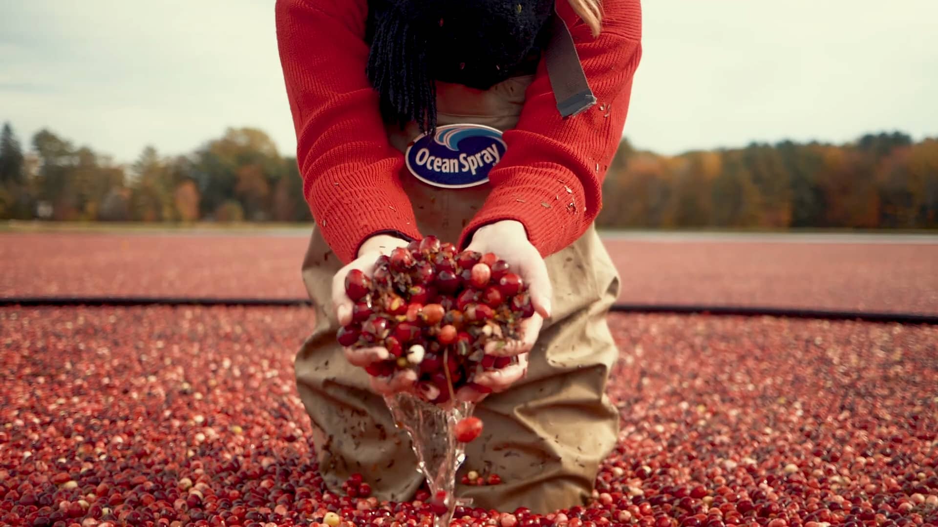 Experiencia Ocean Spray Con Pamela Sued Y Techy Fatule On Vimeo
