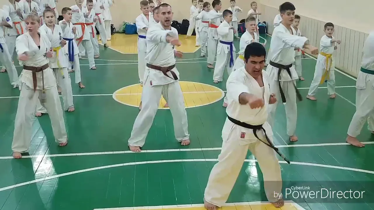 Роман Васильевич каратэ Кекусинкай