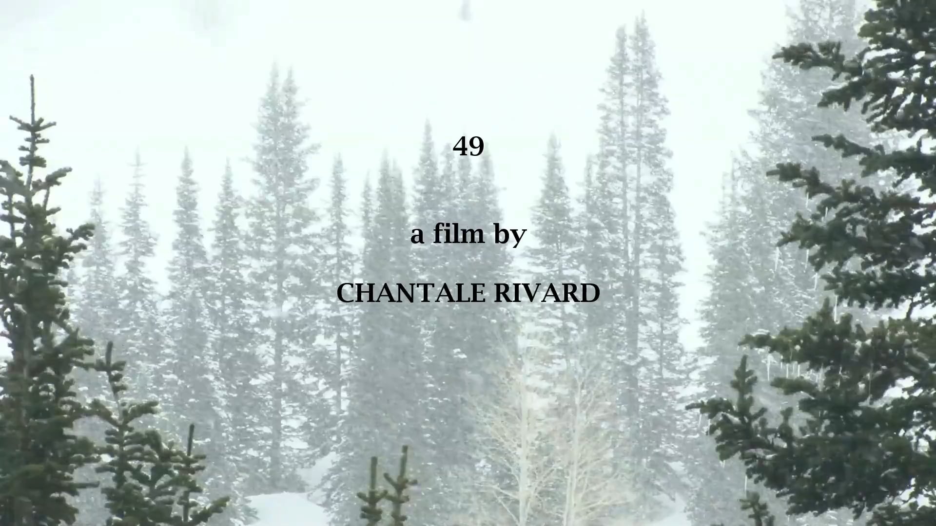 49 on Vimeo