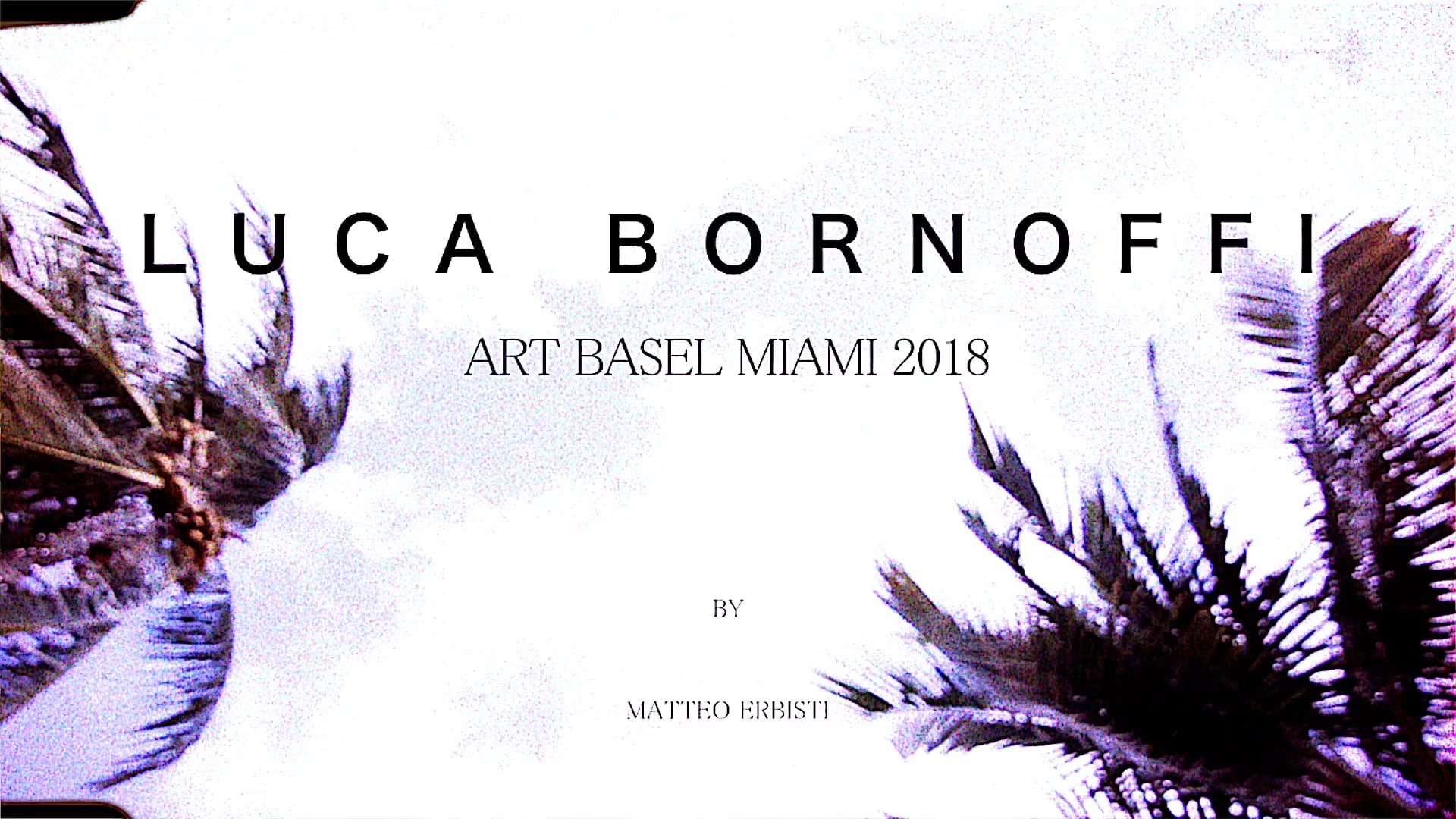 BORNOFFI X ART BASEL // SPECTRUM MIAMI