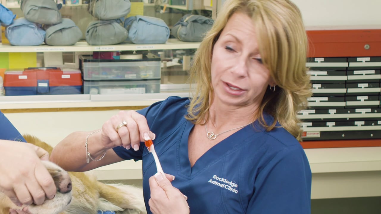 Oral Health