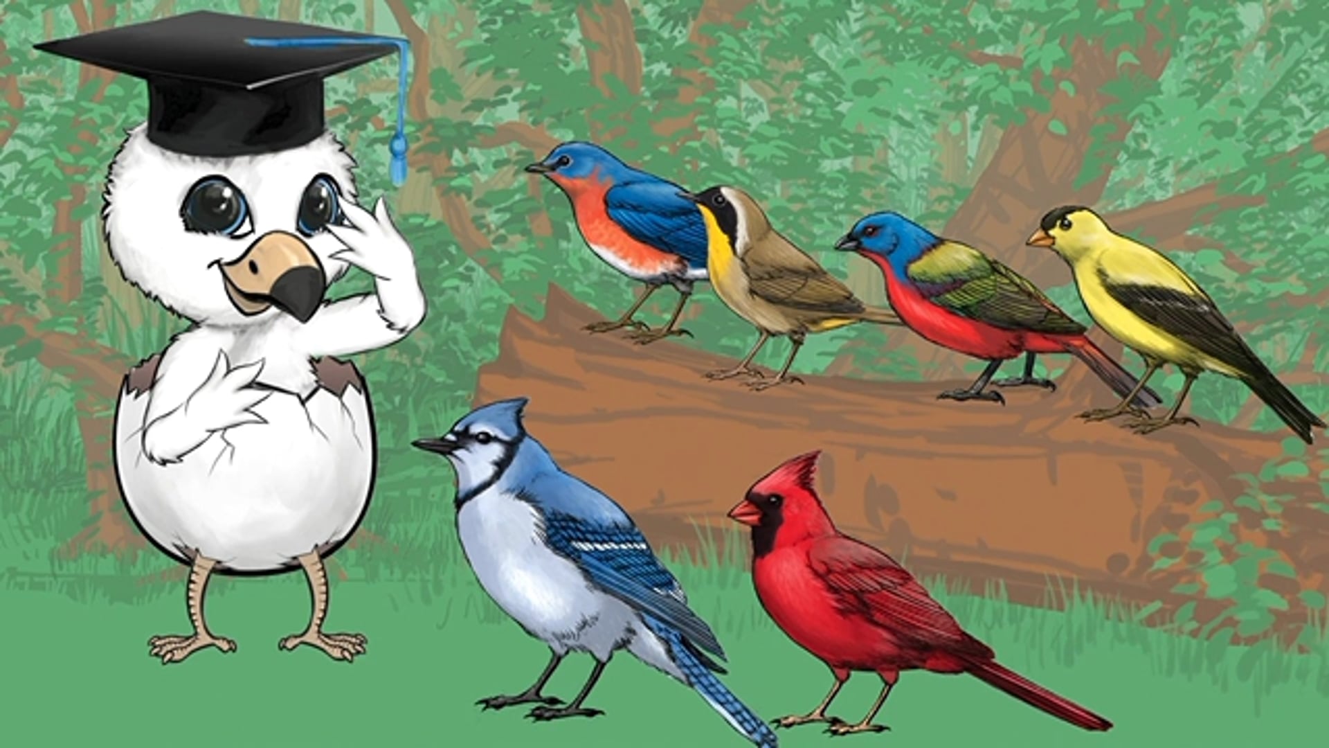 BirdWiser Educational Game