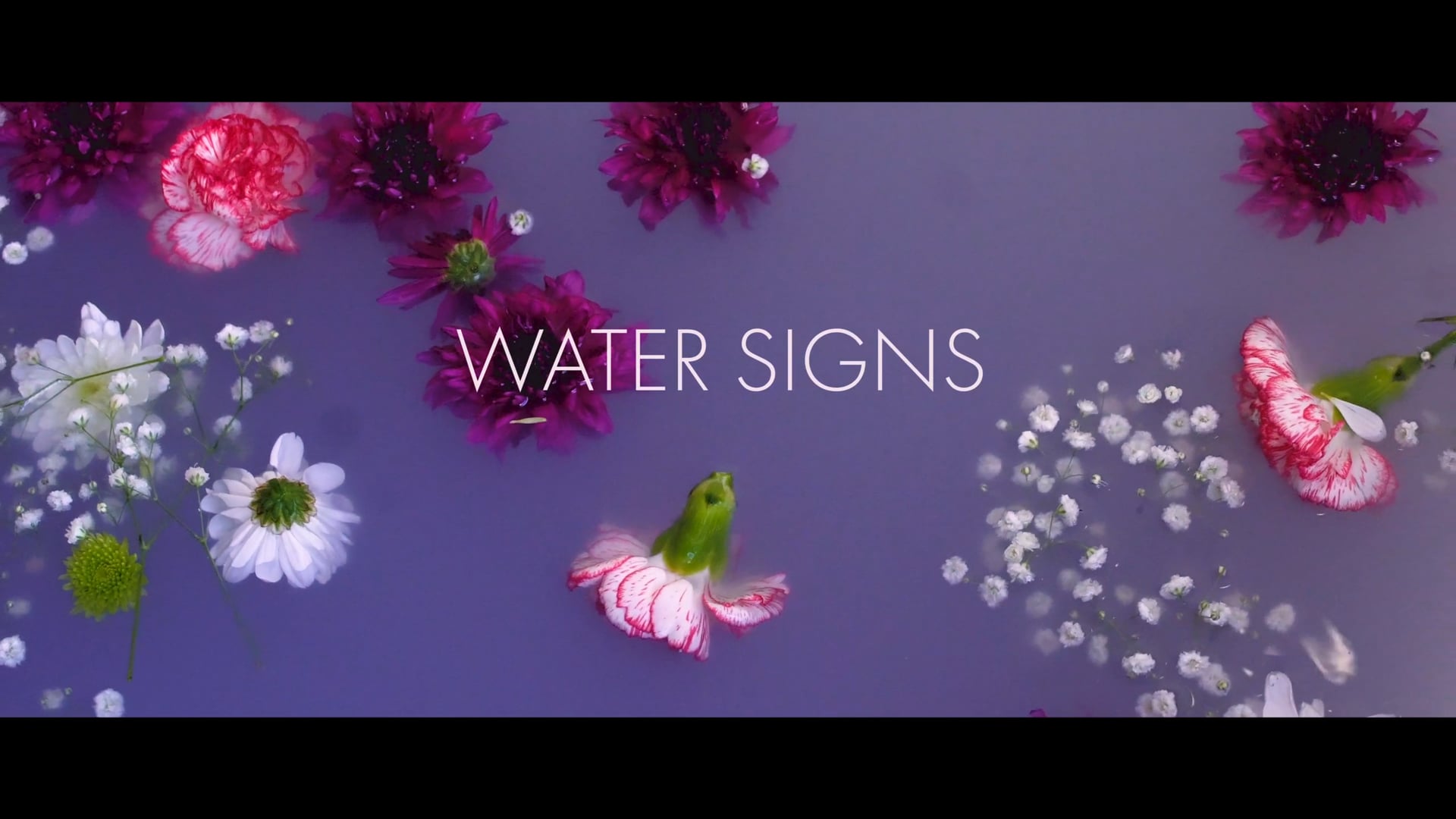 FINE. - Water Signs
