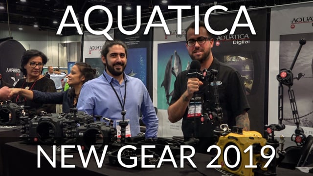 Aquatica - New Gear 2019