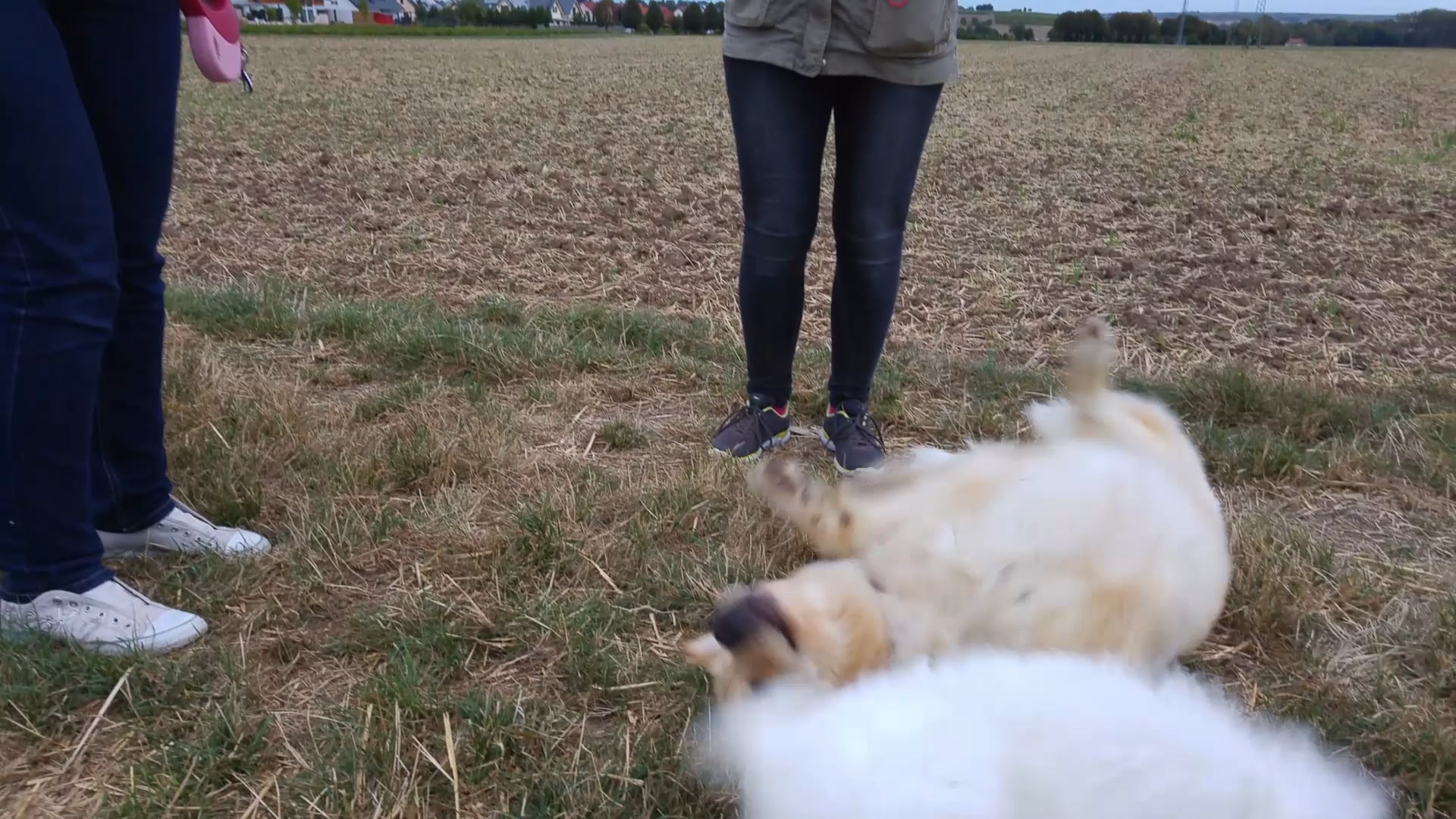 Malu spielt mit Flöckchen (mit Musik)