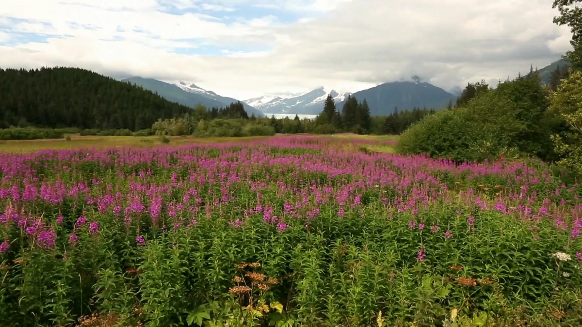 HGTV Feature - Living Alaska Vimeo upload