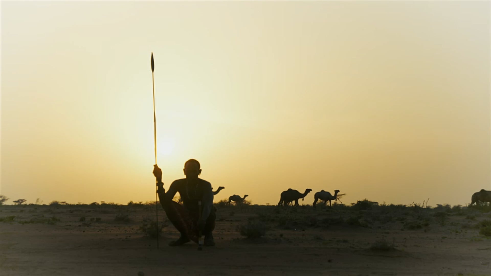 Primal Survivor - Northern Kenya