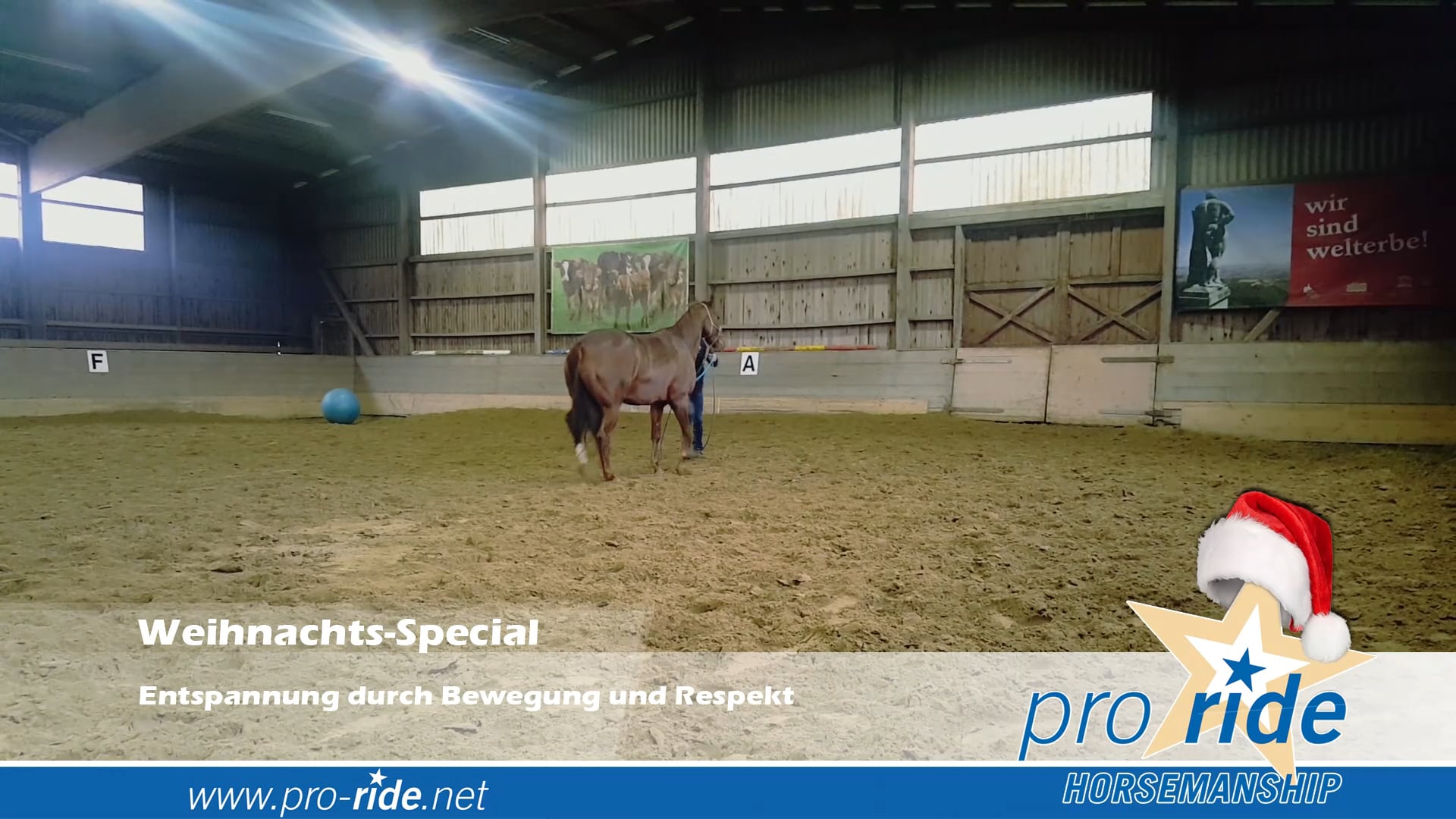 Kurzes Lehrvideo aus den Learn Quickies der pro ride ONLINE SCHOOL